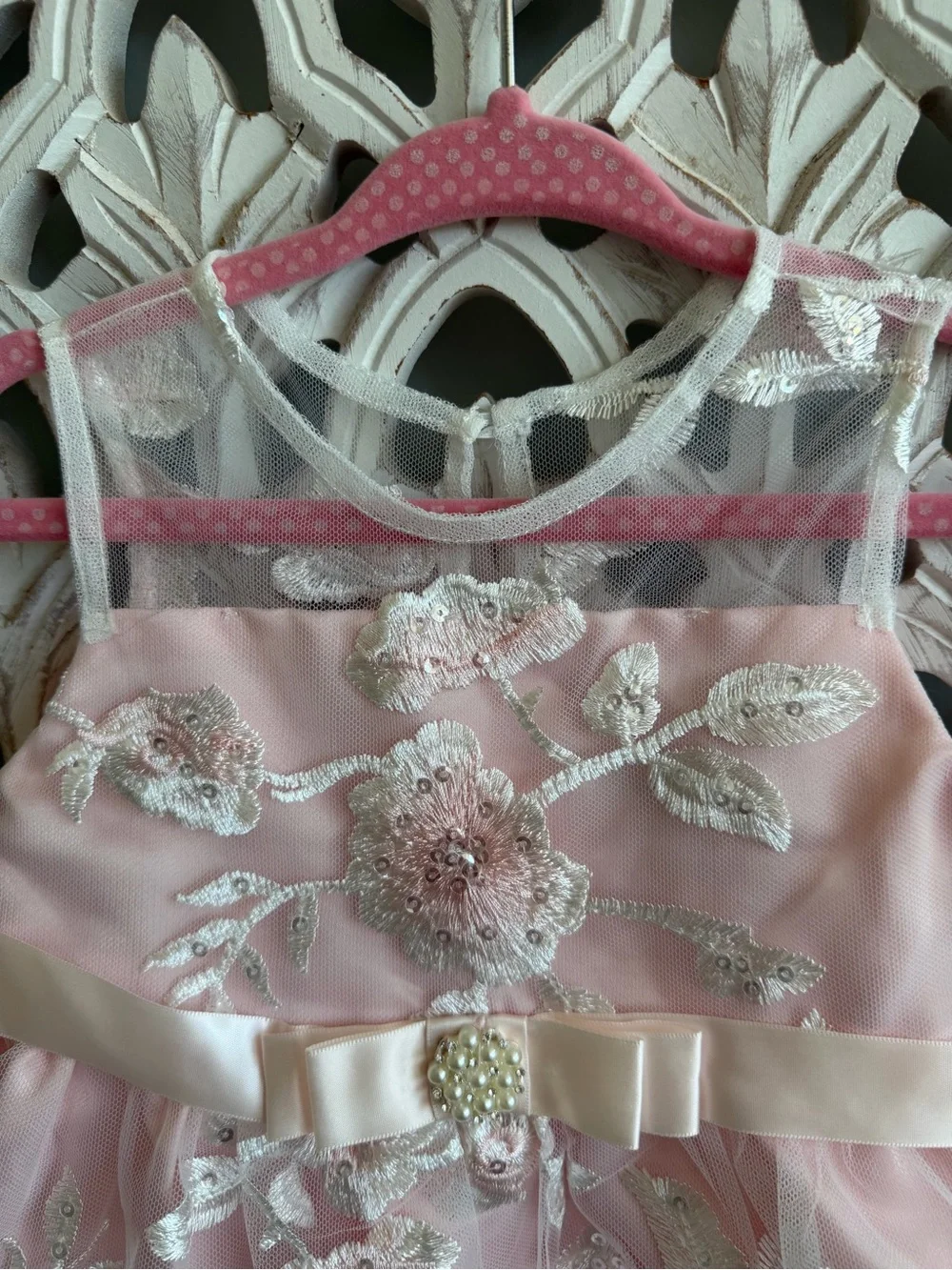 Rare Editions Girls 24M Pink Embroidered Tulle Formal Dress